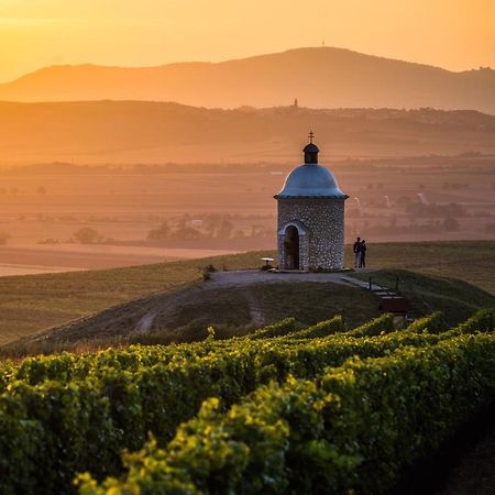 Vinoza - Ubytovani A Vinny Sklep Velke Bilovice Rulandova Luaran gambar