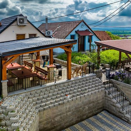 Vinoza - Ubytovani A Vinny Sklep Velke Bilovice Rulandova Luaran gambar