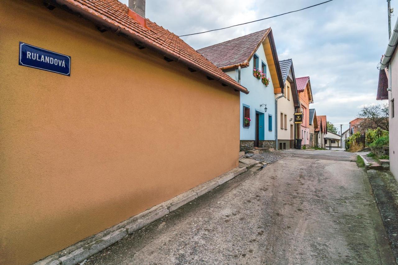 Vinoza - Ubytovani A Vinny Sklep Velke Bilovice Rulandova Luaran gambar