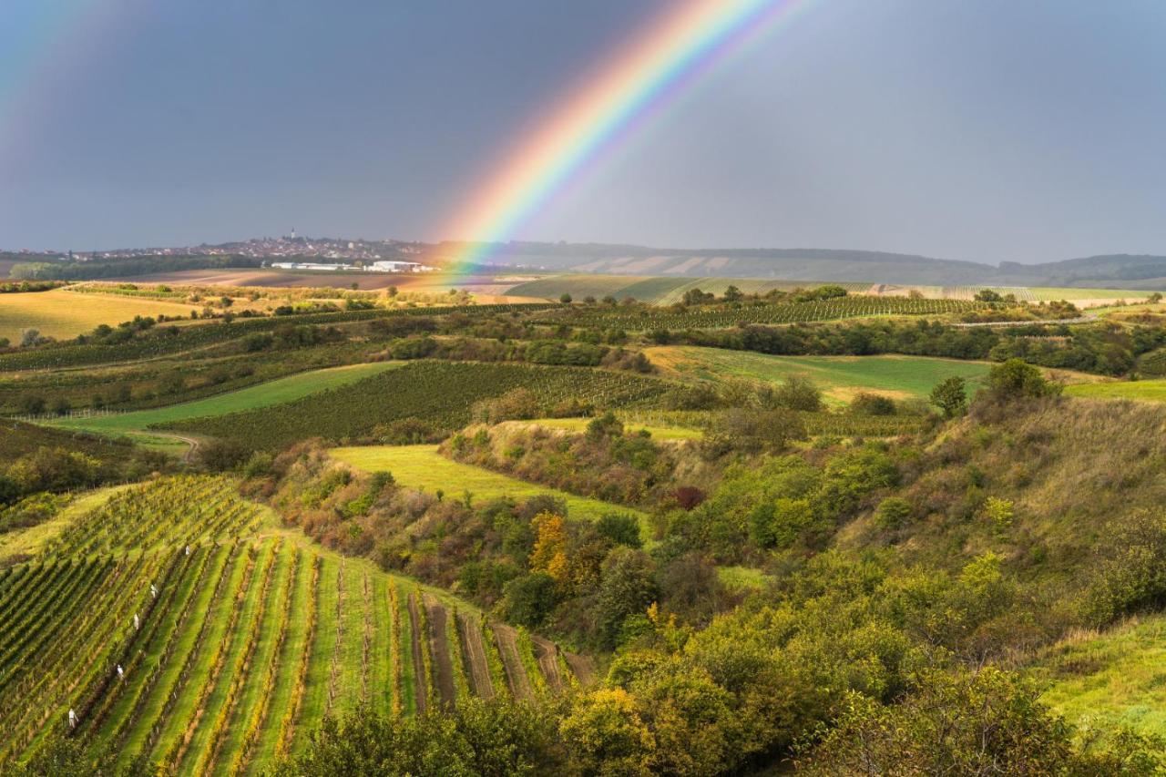 Vinoza - Ubytovani A Vinny Sklep Velke Bilovice Rulandova Luaran gambar