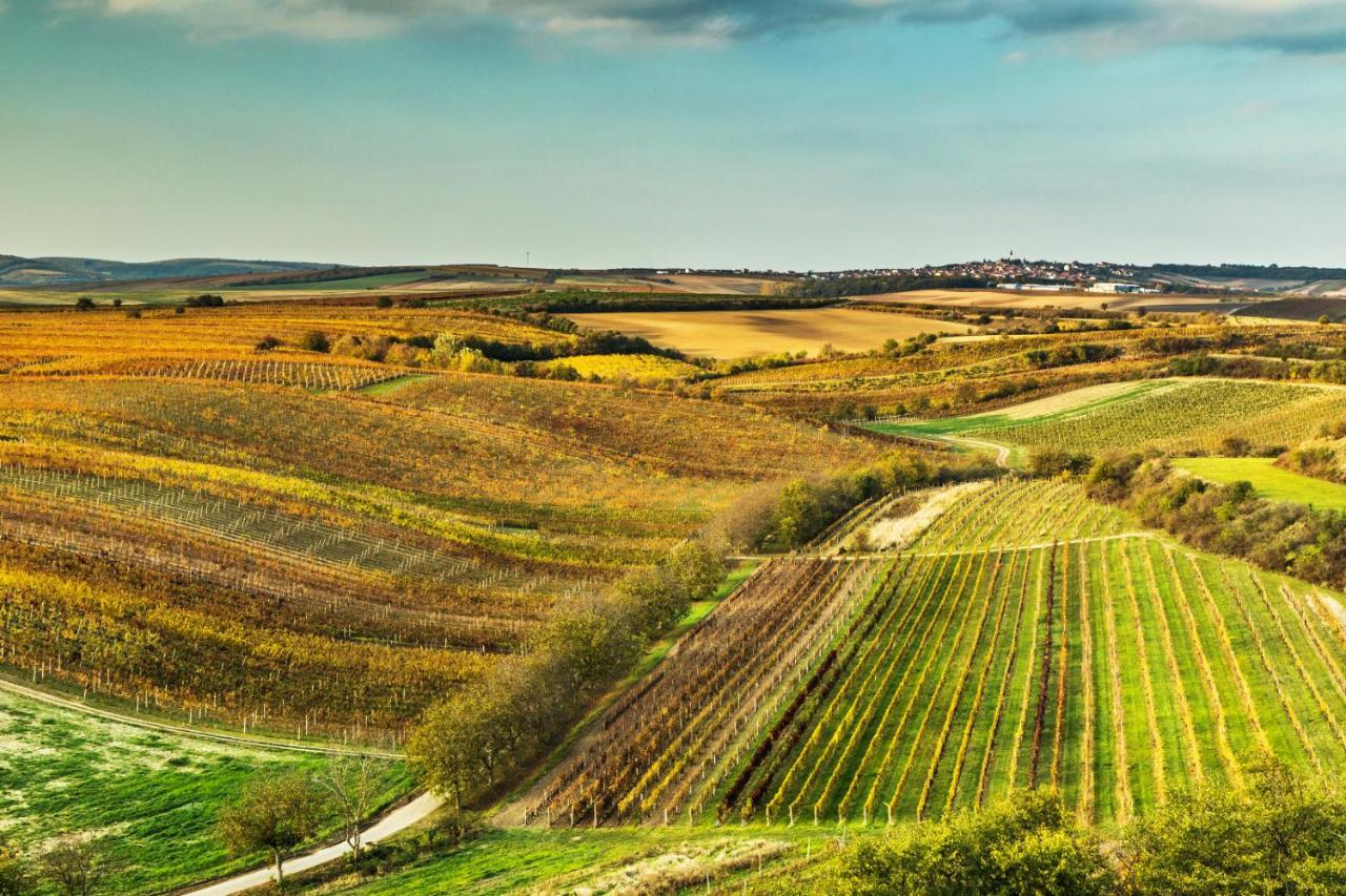 Vinoza - Ubytovani A Vinny Sklep Velke Bilovice Rulandova Luaran gambar