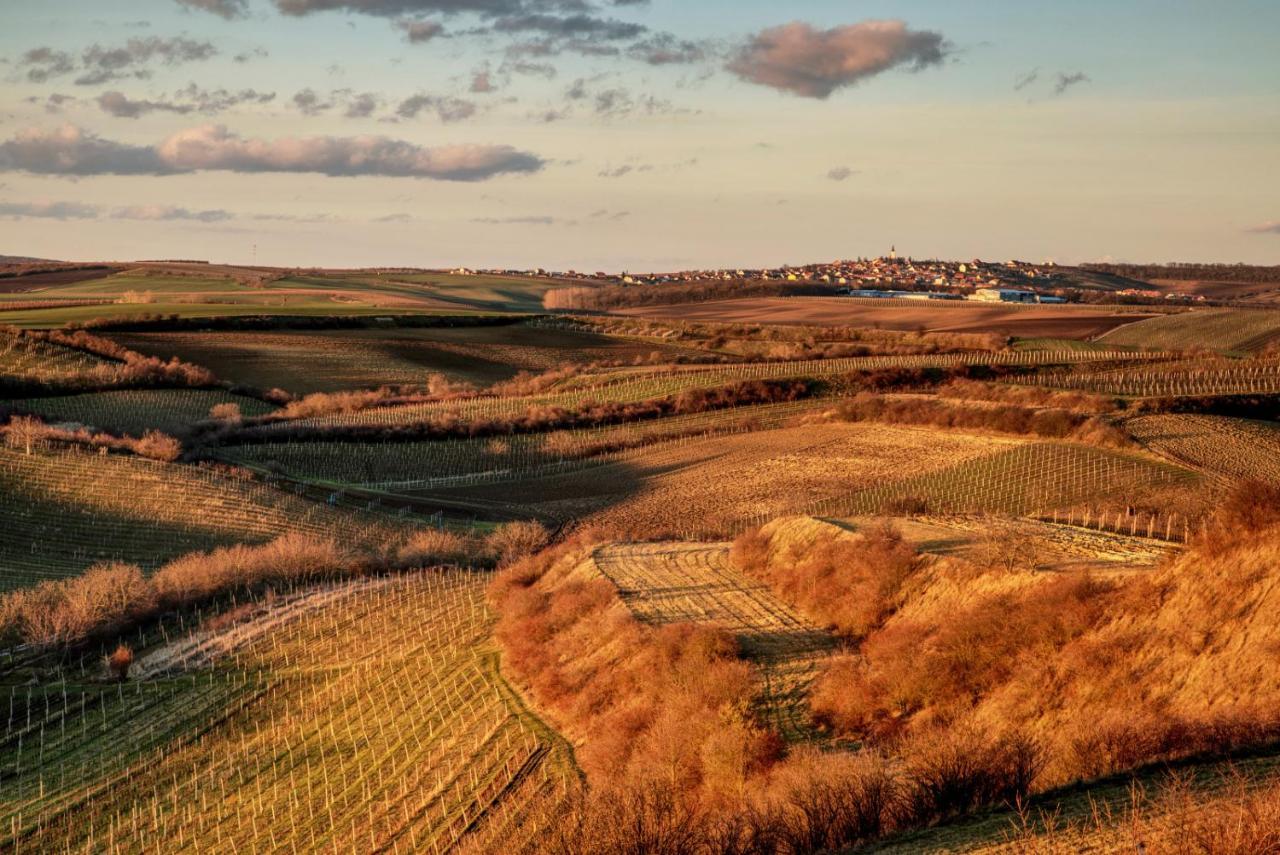 Vinoza - Ubytovani A Vinny Sklep Velke Bilovice Rulandova Luaran gambar