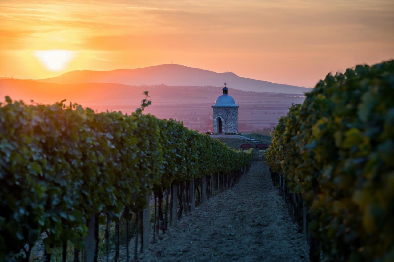 Vinoza - Ubytovani A Vinny Sklep Velke Bilovice Rulandova Luaran gambar